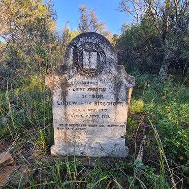 Eastern Cape, MIDDELBURG district, Joubertsberge, Bul Hoek 285, Bulhoek, farm cemetery