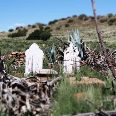 2. Oorsig / Overview