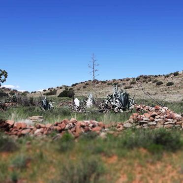 1. Oorsig / Overview