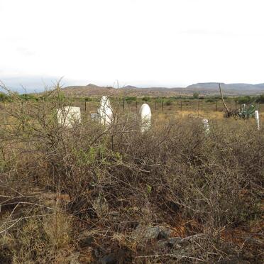 Eastern Cape, MIDDELBURG district, Watervoor 46, farm cemetery