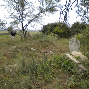 3. Overview / Oorsig