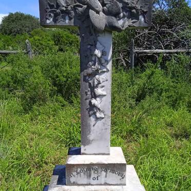 TURNER Alexander Henry -1918