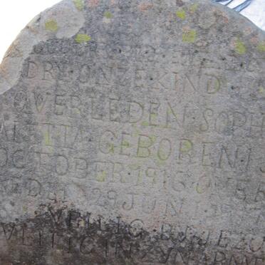 DRY Sophia Aletta 1916-1917