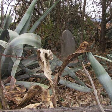 2. Overview / Oorsig