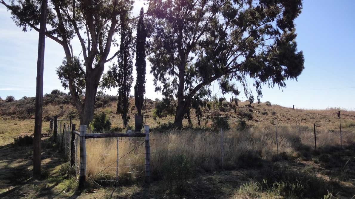 2. Overview on Kalkoenkrans Farm Cemetery