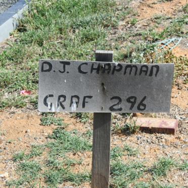 CHAPMAN D.J.