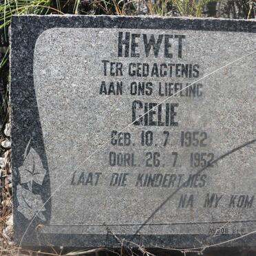 HEWET Gielie 1952-1952