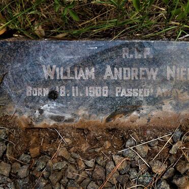 NIENABER William Andrew 1908-1943
