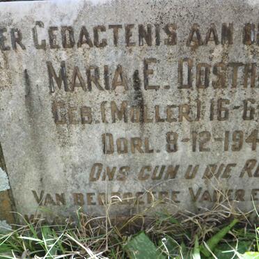 OOSTHUIZEN Maria E. nee MOLLER 1884-1942