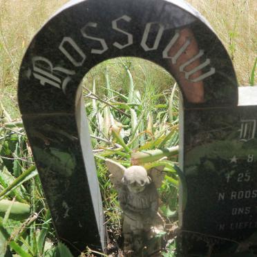 ROSSOUW Danie 1976-1978