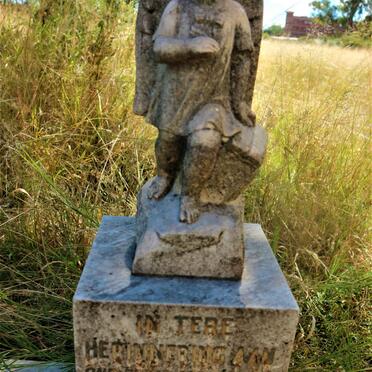 RABIE Johannes Jacobus 1950-1951