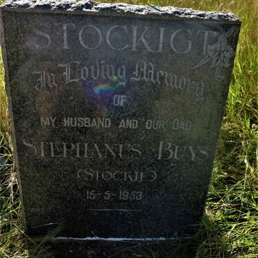 STOCKIGT Stephanus Buys -1953