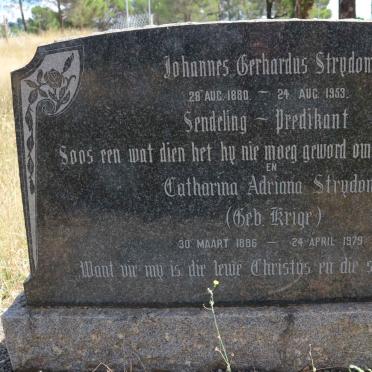 STRYDOM Johannes Gerhardus 1880-1953 &amp; Catharina Adriana KRIGE 1886-1979