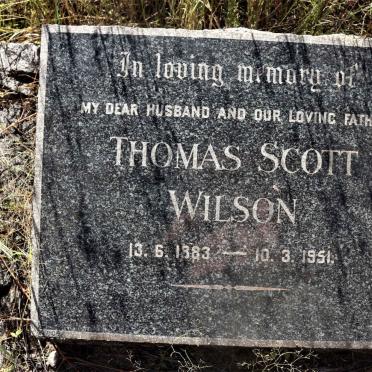 WILSON Thomas Scott 1883-1951