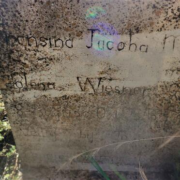 WIESNER Fransina Jacoba Magdalena 1950-19??
