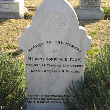 FLAY W.E. -1910