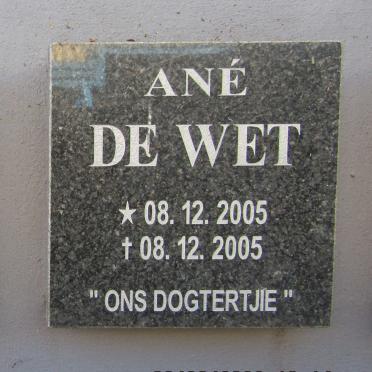 WET Ane, de 2005