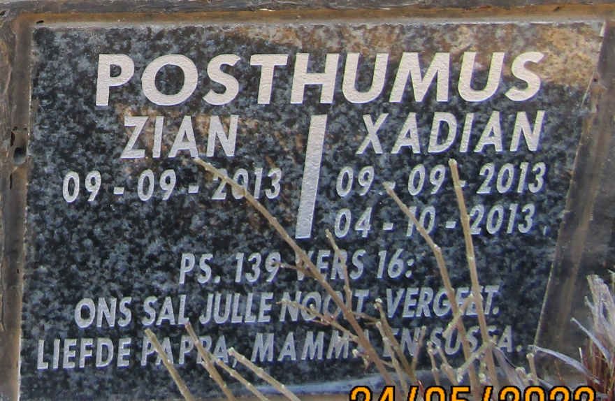 POSTHUMUS Zian 2013- :: POSTHUMUS  Xadian 2013-2013