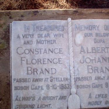 BRAND family plot