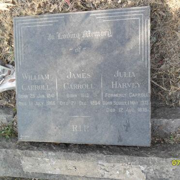 C - Surnames :: Vanne - C