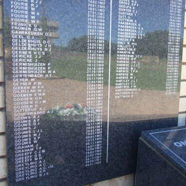 Killed in Action Panel_5c