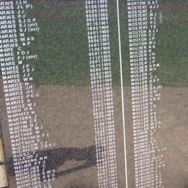 Killed in Action Panel_8b