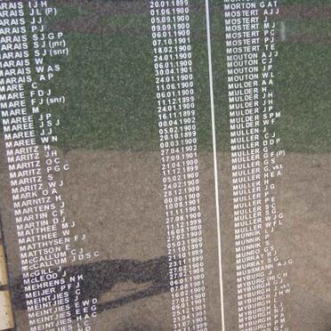 Killed in Action Panel_8b