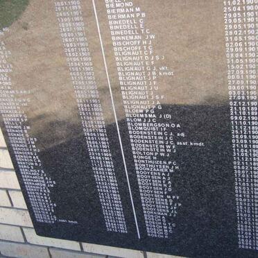 Killed in Action Panel_1c