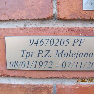 MOLEJANA P.Z. 1972-2007