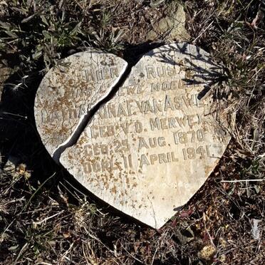 ASWEGEN Catharina F., van nee V.D. MERWE 1870-1941