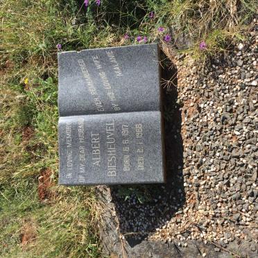 BIESHEUVEL Albert 1917-1966