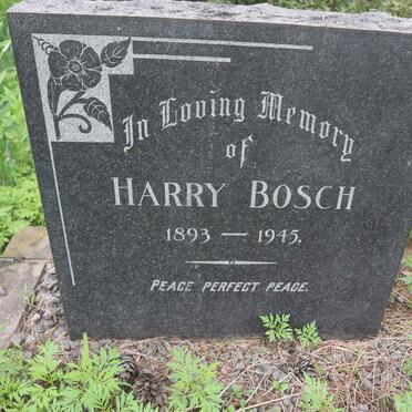 BOSCH Harry 1893-1945