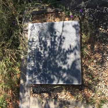 BOSMAN Maria Elizabeth nee STOLZ 1882-1966