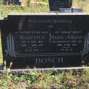 BOSCH Martinus 1884-1967 &amp; Maria Johanna LOMBARD 1887-1970