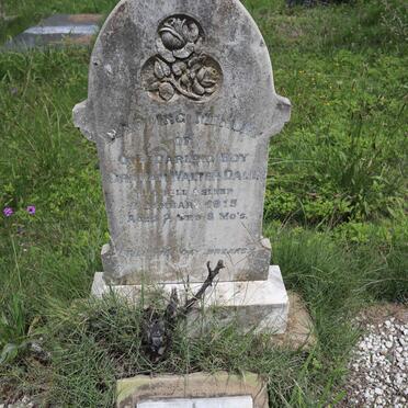 DALE Graham Walter - 1915 :: DALE Lawrence Roy 1926-1927