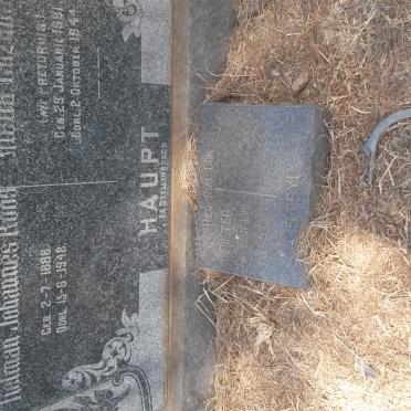 HAUPT Tielman Johannes Roos 1888-1948 &amp; Aletta Elizabeth PRETORIUS 1891-1944 :: STEYL Pieter 1918-1969