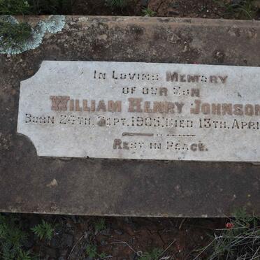 JOHNSON William Henry 1905-1921