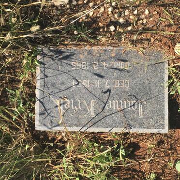 KRIEK Jannie 1954-1965