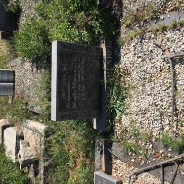 LOGGERENBERG Johannes J.C., van 1904-1980