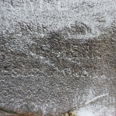 MERWE Anna Martha S?, van der