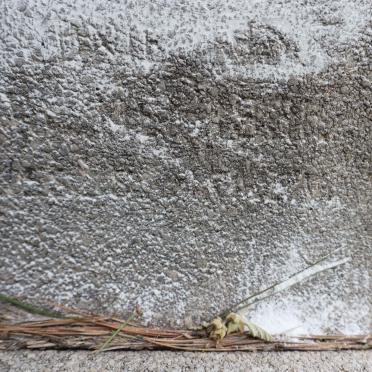 MERWE Anna Martha S?, van der