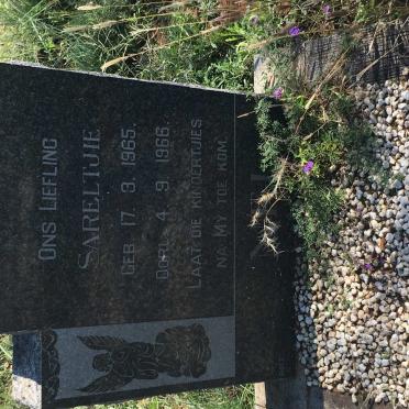 NEL Sareltjie 1965-1966