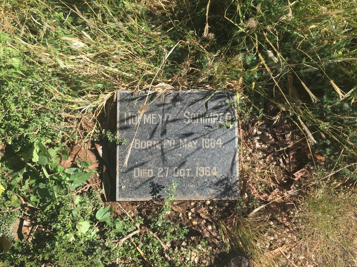 SCHIMPER Hofmeyr 1884-1964