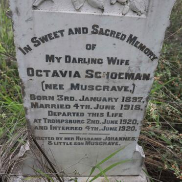 SCHOEMAN Octavia nee MUSGRAVE 1892-1920