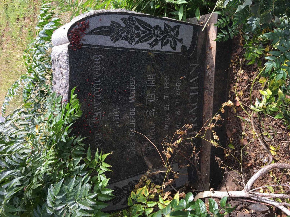 STRACHAN S.D.M. nee HUGO 1885-1965