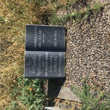 SCHOONRAAD Johanna Adriana nee VAN BOSCH 1895-1965