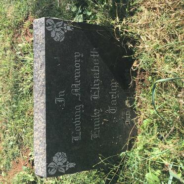 TAYLOR Emily Elizabeth  -1964