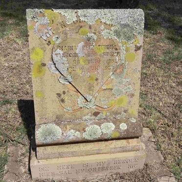 VILJOEN Maria Elizabetha nee STEYN 1865-1933