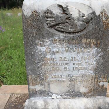 VIVIERS C.J. 1907-1929