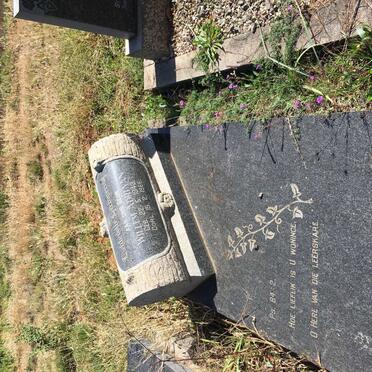 VENTER Willem Adriaan 1943-1966